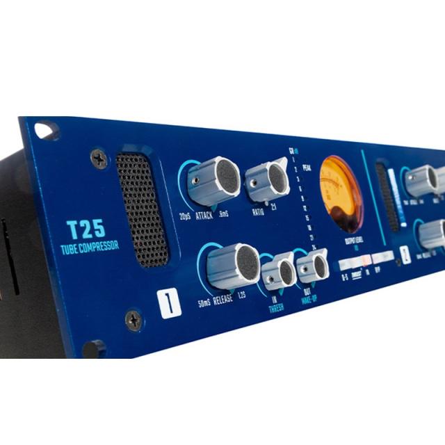 API T25_1