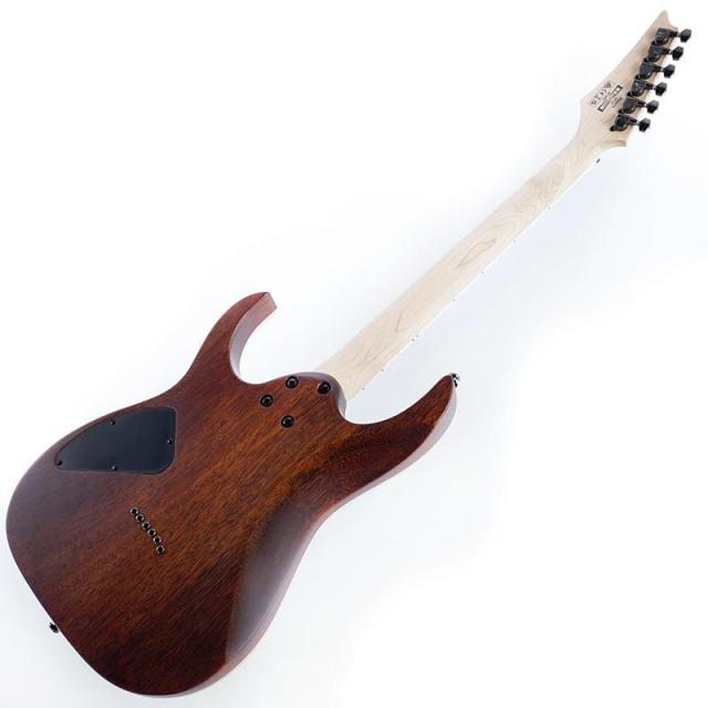 Ibanez RG421S-SEM [SPOT MODEL]_2
