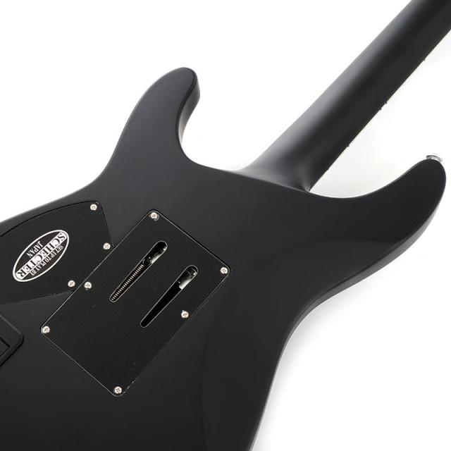 SCHECTER DAMIEN PLATINUM-6 FR [AD-DM-PTM-FR] (SBK)_5