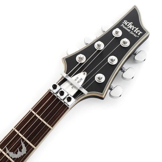 SCHECTER DAMIEN PLATINUM-6 FR [AD-DM-PTM-FR] (SBK)_6