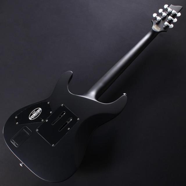 SCHECTER DAMIEN PLATINUM-6 FR [AD-DM-PTM-FR] (SBK) #W25081340_5