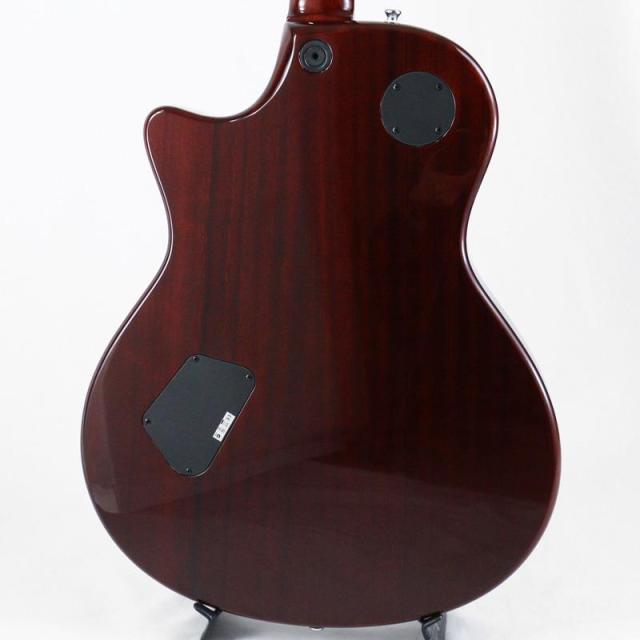 TAYLOR USED 中古 XXXV T3-C 35th Anniversary Cocobolo [SN.20090715602] テイラー_3
