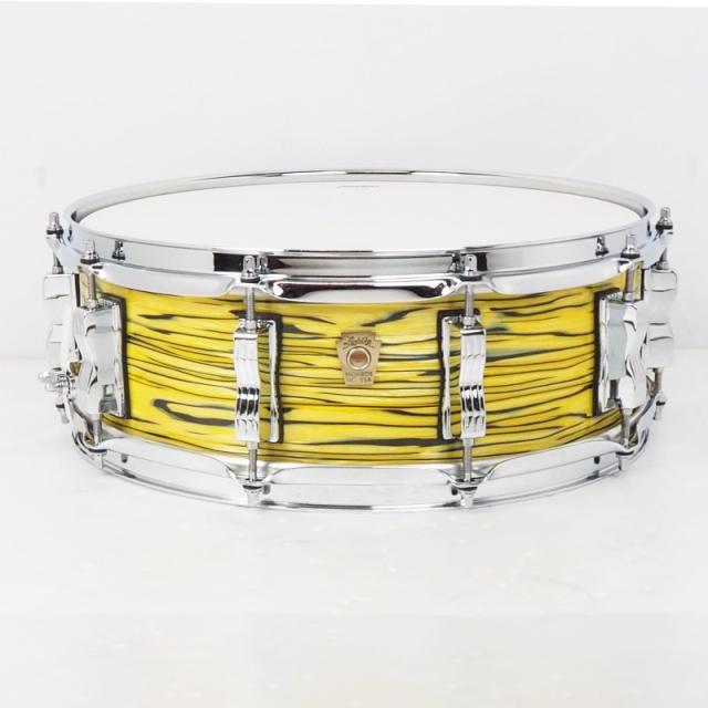 Ludwig LS401XXA2 [Classic Maple Snare Drum 14×5/Lemon Oyster] 58,110円