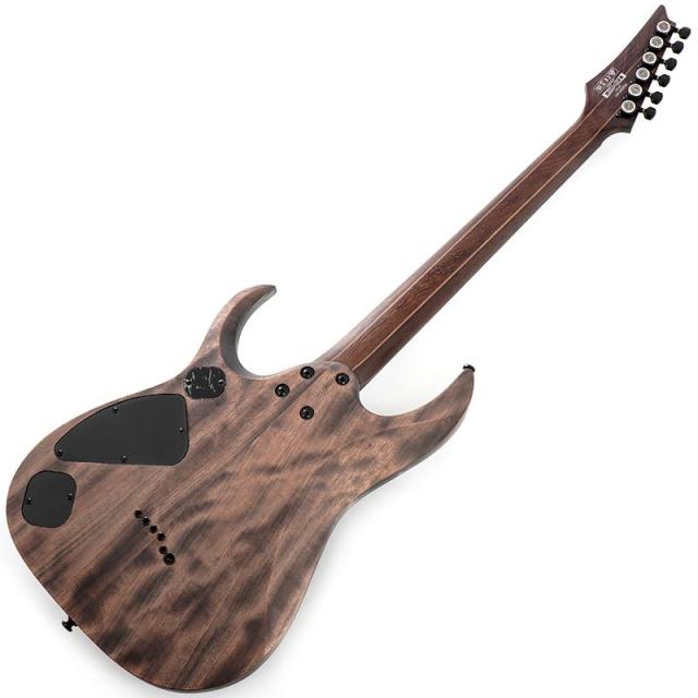 Ibanez RGD621AH-MNF (Midnight Shade Flat) [SPOT MODEL]_2