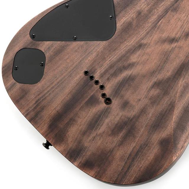 Ibanez RGD621AH-MNF (Midnight Shade Flat) [SPOT MODEL]_7