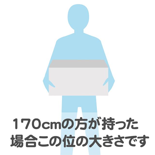 【商品レビューで+2%】ポポンデッタ JR貨物 コンテナ収納ボックス 18D形式 インテリア 収納 おもちゃ箱 コンテナ 子ども部屋 鉄道好き 電車 鉄道グッズ JR 折りたたみコンテナ オリコン スタッキング_6