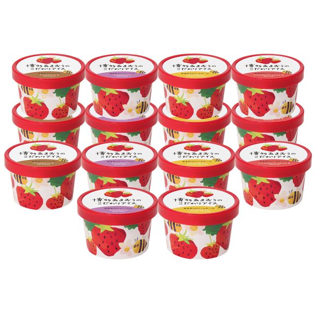 博多あまおうのこだわりアイス AH-AB5 送料無料の通販は