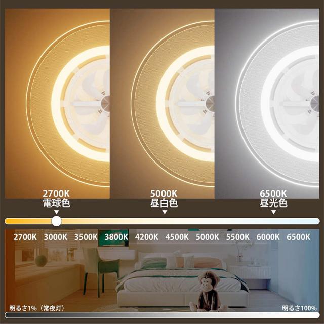 シーリングライト おしゃれ LED 調光調色 北欧 シーリングファン シーリングファンライト 首振り ファン付き照明 12畳 DCモーター ファン シーリングファン リモコン付き 省エネ 扇風機 天井照明 静音 サーキュレーター ライト 空気循環 子供部屋寝室