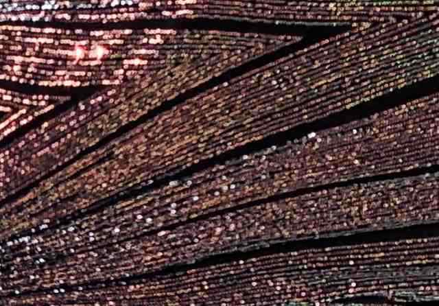 売上急増中 人気急上昇 生活快適特集 毎日使える便利品 在庫わずか