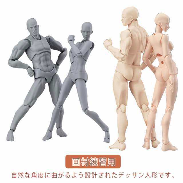 デッサン人形 デッサンモデル モデル人形 男 女 デッサンドール フィギュア 漫画 キャラクター イラスト 作画 ドールタイプ 練習 デッサ