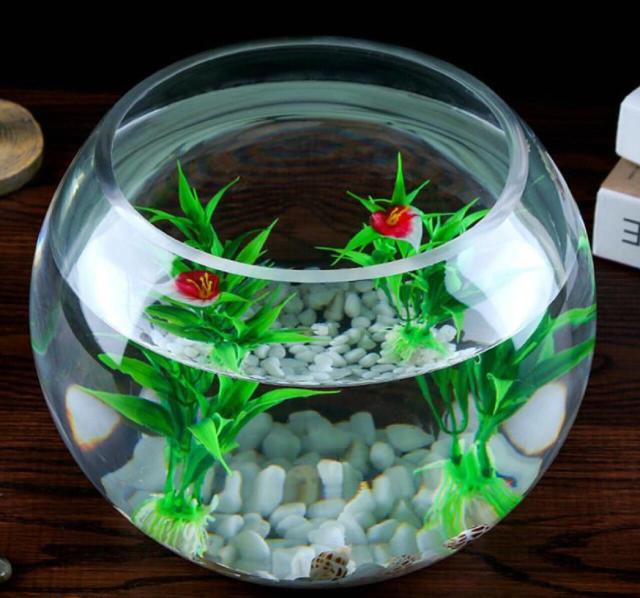18センチ 金魚 メダカ 透明 丸 鉢 金魚鉢 ガラス ボール 小 中 18センチ 金魚 メダカ 透明 丸 鉢 金魚鉢 ガラス ボール 小 中