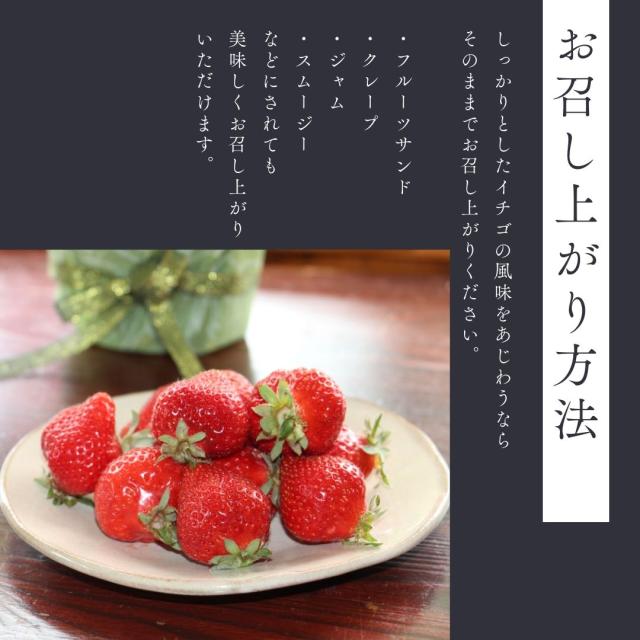 値下げしました❗️バカラ スコティッシュテリア 甘え立ち　美品 LOWは見つけるたびに買ってるかも 独特なB面🔥ENOがmoog