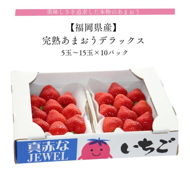 完熟あまおうデラックス 10パック(1パック5玉〜15玉入 約270g)福岡県産 美味しさを追求した本物のあまおう 皆が知らない日本の食宝 産地直送 苺 いちご イチゴ  お取り寄せ ギフト 贈答 高級フルーツの通販は