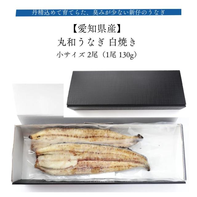 フランスの在宅保育政策:女性の就労と移民ケア労働者 (MINERVA 社会福祉叢書 64)
