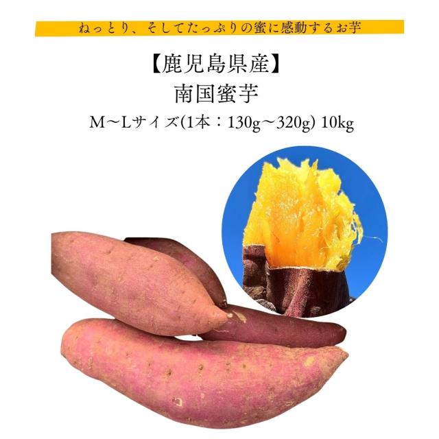 南国蜜芋 鹿児島県産  M〜Lサイズ(130g〜320g) 10kg ねっとり、そしてたっぷりの蜜に感動するお芋 皆が知らない日本の食宝 産地直送 さつまいも サツマイモ 紅はるか 化学肥料不使用 減農薬の通販は