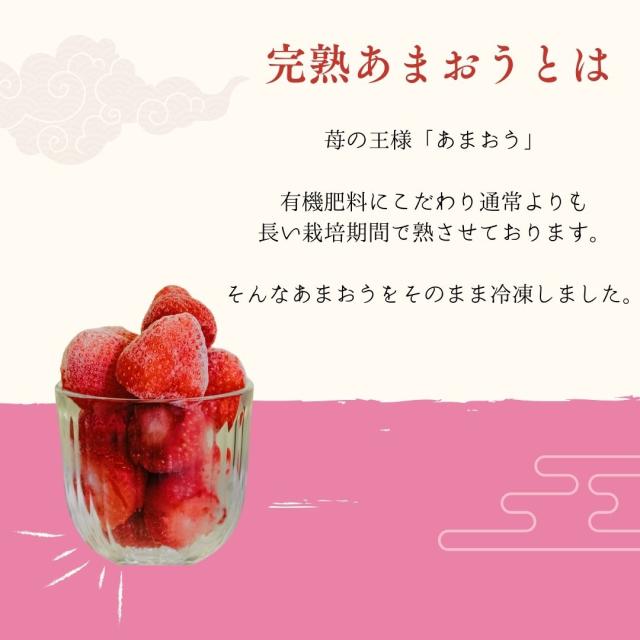 訳ありあまおう 冷凍いちご 3.2kg 福岡県産 美味しさを追求した本物のあまおう 皆が知らない日本の食宝 産地直送 苺 いちご イチゴ お取り寄せ 冷凍フルーツ