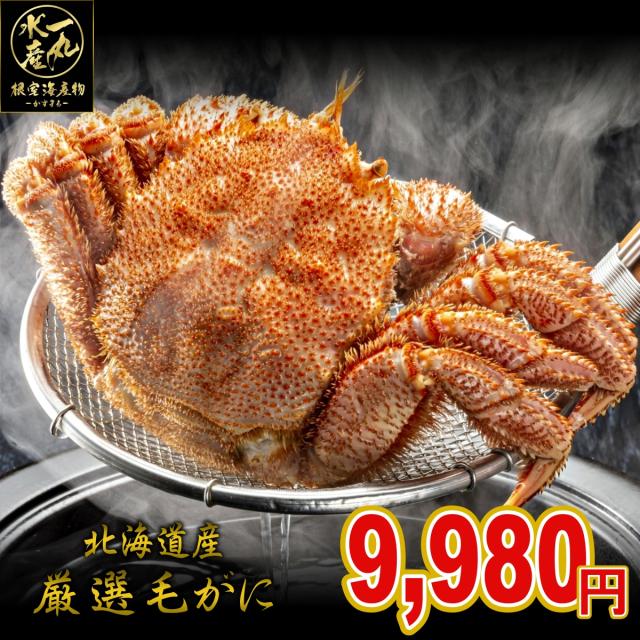 北海道産冷凍ボイル毛蟹500ｇ前後×2尾〔E〕北港直販☆毛ガニ☆ 北海道産ボイル毛ガニ姿（約400g×2尾） 約400g 北海道産 冷凍ボイル