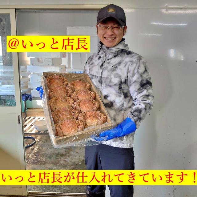北海道根室産 毛ガニ 400ｇ前後2尾 毛がに 毛蟹 けがに カニ かに 蟹 kani 北海道産 北海道グルメ セット 海鮮 贈答用 御祝 ギフト 御歳暮 送料無料 母の日 父の日_2