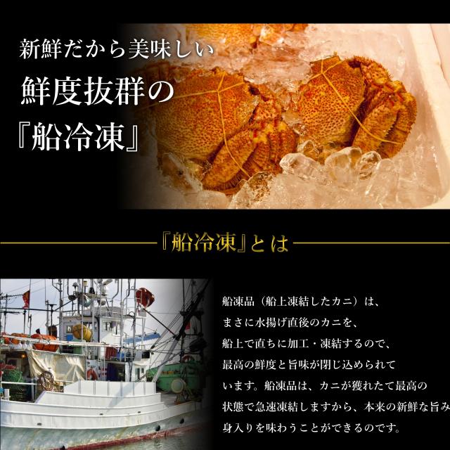 北海道根室産 毛ガニ 400ｇ前後2尾 毛がに 毛蟹 けがに カニ かに 蟹 kani 北海道産 北海道グルメ セット 海鮮 贈答用 御祝 ギフト 御歳暮 送料無料 母の日 父の日_5