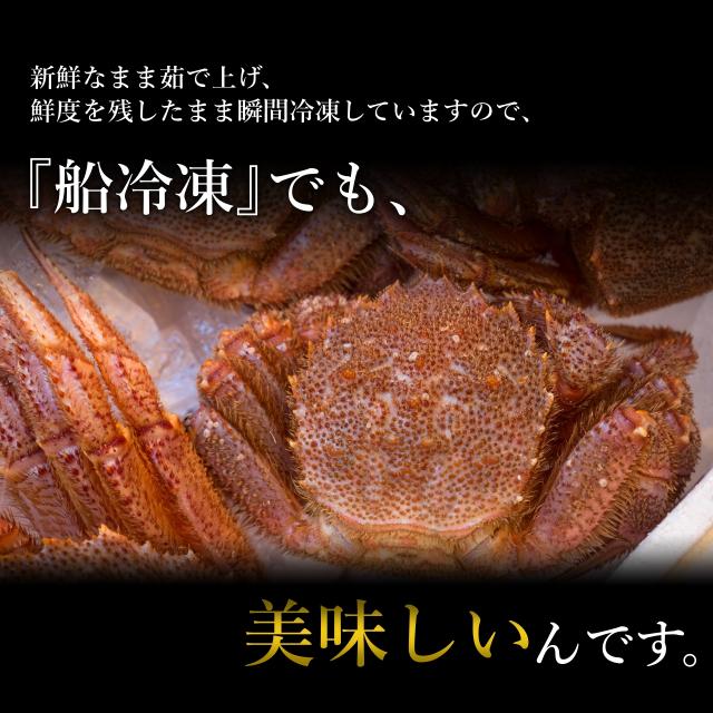北海道根室産 毛ガニ 400ｇ前後2尾 毛がに 毛蟹 けがに カニ かに 蟹 kani 北海道産 北海道グルメ セット 海鮮 贈答用 御祝 ギフト 御歳暮 送料無料 母の日 父の日_6