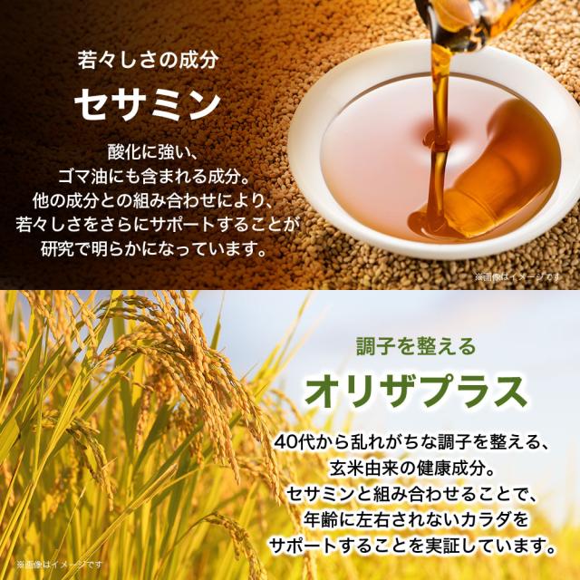 サントリー 公式 セサミンEX ごま オリザプラス セサミン ビタミンE サプリメント サプリ 270粒入/約90日分_7