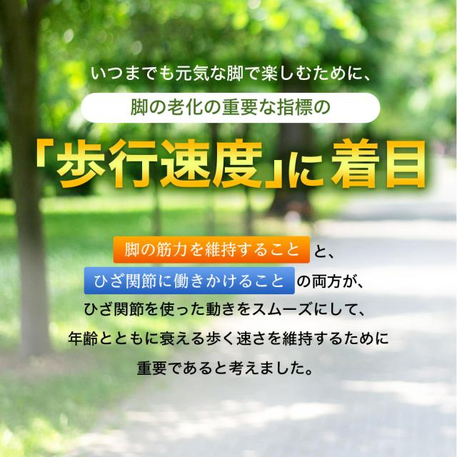サントリー 公式 ロコモア 筋肉成分 軟骨成分 グルコサミン コンドロイチン ケルセチン アンセリン サプリメント サプリ 360粒入/約60日分_4