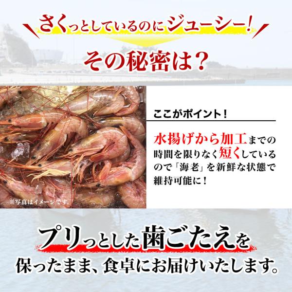 無頭エビフライ 200本 3Lサイズ 業務用 送料無料_2