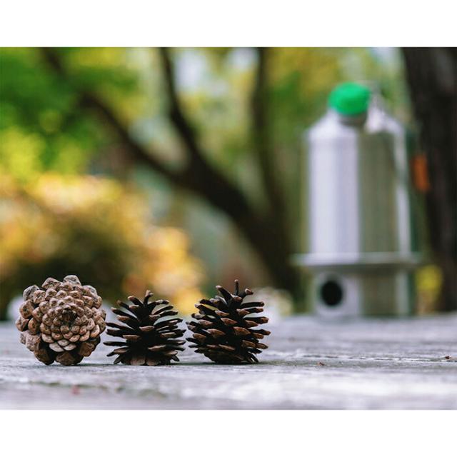 ケリーケトル ベースキャンプ アルティメット キット 1.6L ステンレス Kelly Kettle【日本正規品】