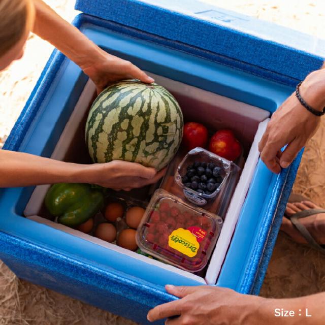 クール エレメント L クール -2°C ~ +2°C QOOL 正規品 | QOOL BOX L 対応 保冷剤 氷点下 長時間 真空断熱クーラーボックス クーラーBOX 保冷 断熱 アウトドア キャンプ レジャー 登山 スポーツ ピクニック BBQ バーベキュー 釣り コンパクト 防災 小型 ドイツ製