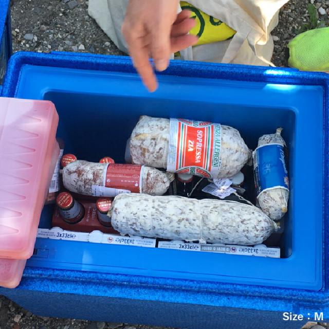 クール エレメント M フローズン -20°C ~ -10°C QOOL 正規品 | QOOL BOX M 対応 保冷剤 氷点下 長時間 真空断熱クーラーボックス クーラーBOX 保冷 断熱 アウトドア キャンプ レジャー 登山 スポーツ ピクニック BBQ バーベキュー 釣り コンパクト 防災 小型 ドイツ製