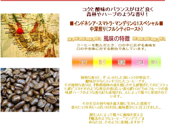 プレゼント コーヒー 送料無料 マンデリンG1スペシャル 600g 森林やハーブのような香り!中深煎り 女性 誕生日 祖父 両親 男性 女 友達 父親 ラッピング 粉 珈琲豆 レギュラーコーヒー豆 ポイント消化 内祝い お中元 御中元 お礼 お返し グルメ スーパーセール プレゼント コーヒー 送料無料 マンデリンG1スペシャル 600g 森林やハーブのような香り!中深煎り 女性 誕生日 祖父 両親 男性 女 友達 父親 ラッピング 粉 珈琲豆 レギュラーコーヒー豆 ポイント消化 内祝い お中元 御中元 お礼 お返し グルメ スーパーセール