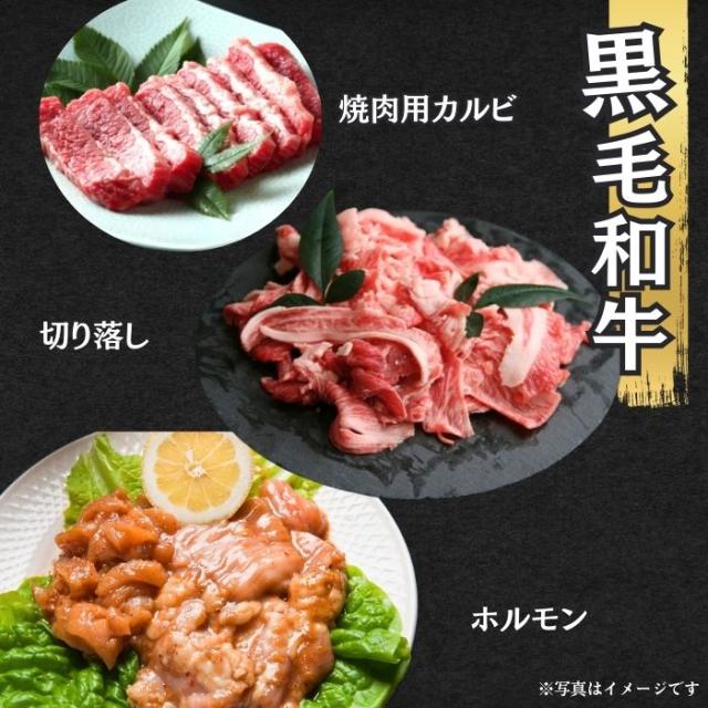送料無料 肉 福袋 10種以上4kg以上 米沢牛 黒毛和牛 入り 25,相当 牛タン ブロック スライス 牛肉切り落とし カルビ 国産 ホルモン 高級 豚肉 訳あり ルイビ豚 焼肉_1
