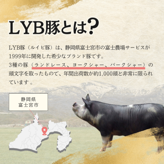 送料無料 肉 福袋 3品1kg以上 米沢牛 LYB豚 入り 国産 12,000円相当 ブランド肉 高級 牛肉 豚肉 ルイビ豚 業務用 切り落とし すき焼き しゃぶしゃぶ 砂肝 焼肉