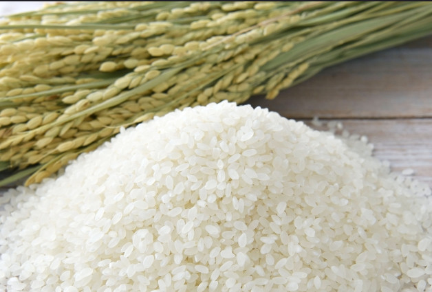 岡山県産 きぬむすめ 米 10kg 5kgx2袋 10キロ 国産米 令和6年産 送料無料 令和 6年 特Aランク 令和六年 令和6年 ブランド米 お米 白米 白米10キロ 白米10キロ送料無料 銘柄米 こめ こめ10キロ ごはん ご飯 白ごはん 白飯_1