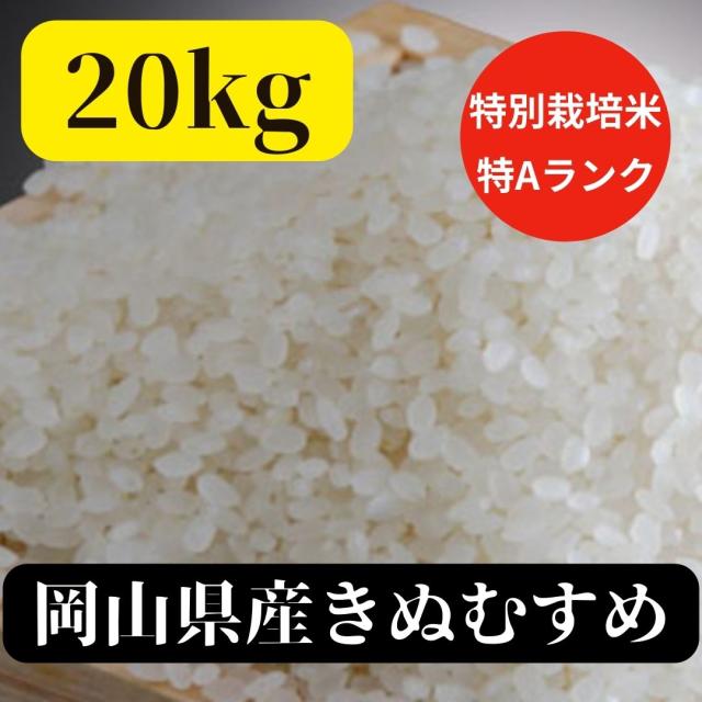 岡山県産きぬむすめ白米20kg(令和2年産) 岡萬 米 お米 令和6年産 5kg きぬむすめ 岡山県産 (5kg×1袋