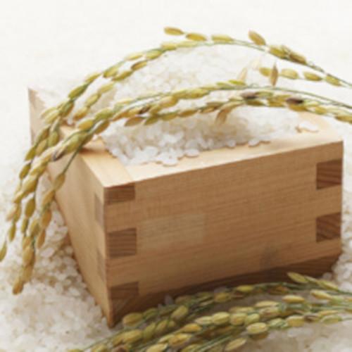 岡山県産 きぬむすめ 米 10kg 5kgx2袋 10キロ 国産米 令和6年産 送料無料 令和 6年 特Aランク 令和六年 令和6年 ブランド米 お米 白米 白米10キロ 白米10キロ送料無料 銘柄米 こめ こめ10キロ ごはん ご飯 白ごはん 白飯_3