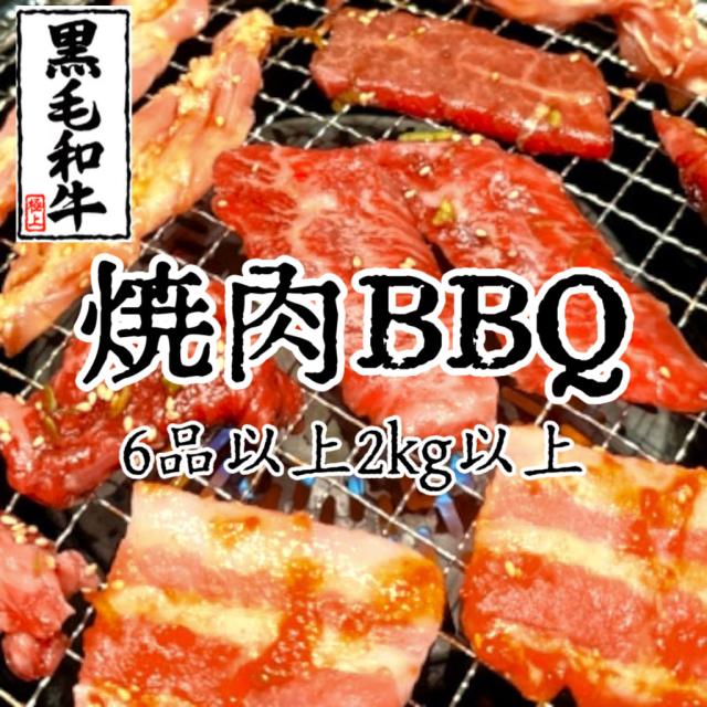 焼肉 BBQ お肉詰合せセット 10人前6種類以上　相当
