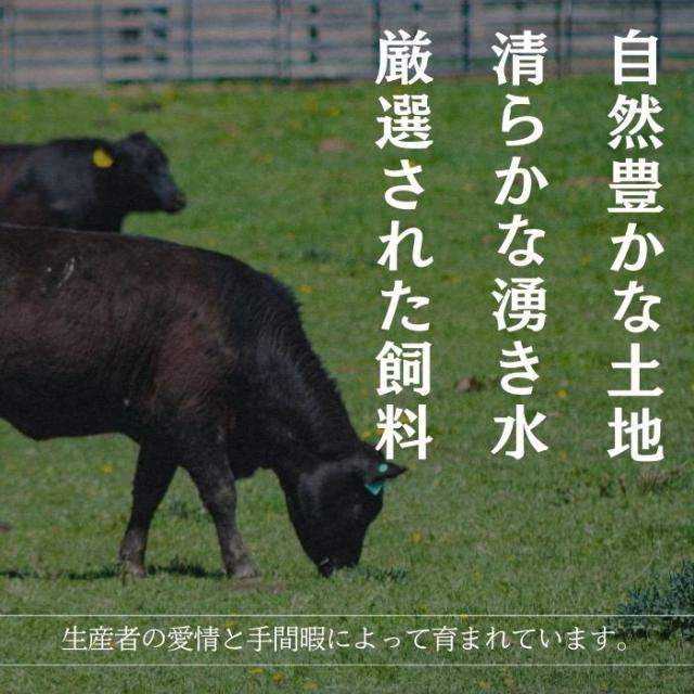 送料無料 肉 福袋 10種以上4kg以上 米沢牛 黒毛和牛 入り 25,相当 牛タン ブロック スライス 牛肉切り落とし カルビ 国産 ホルモン 高級 豚肉 訳あり ルイビ豚 焼肉_10