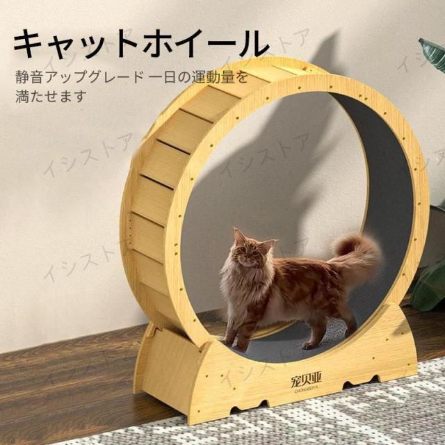 キャット ホイール 猫 Ｍ ランニングホイール キャットウォーク キャット運動 鍛錬 鍛える 猫回し車 ローラーミュート猫 ネコ ホイールの通販は