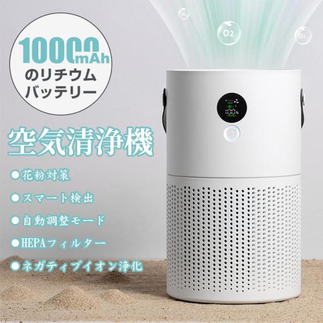 空気清浄機 コンパクト 小型 卓上 除菌 脱臭 静音 省エネ 操作簡単 ウィルス 交換用フィルター 花粉対策 カビ取り エアクリーナー pm2.5 タバコ ペット 業務用の通販は 13,680円