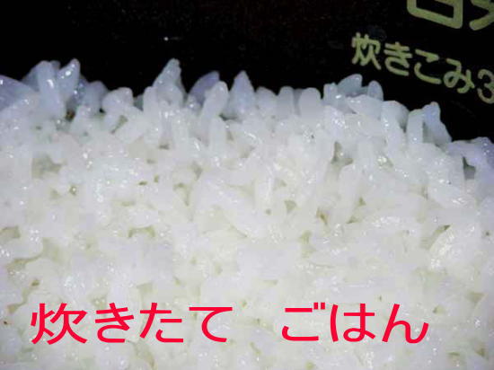 GW期間発送可 特別価格　令和7年産 会津ミルキークイーン白米 10kg(5kgx2) 送料無料 沖縄, 離島は配達不可 無地袋でお届_4