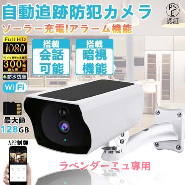 Panasonic DMC-LX2 外箱、説明書、付属品あり