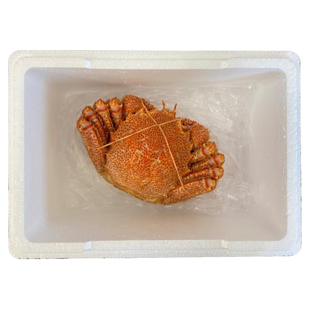 北海道産毛ガニ６５０ｇ_1