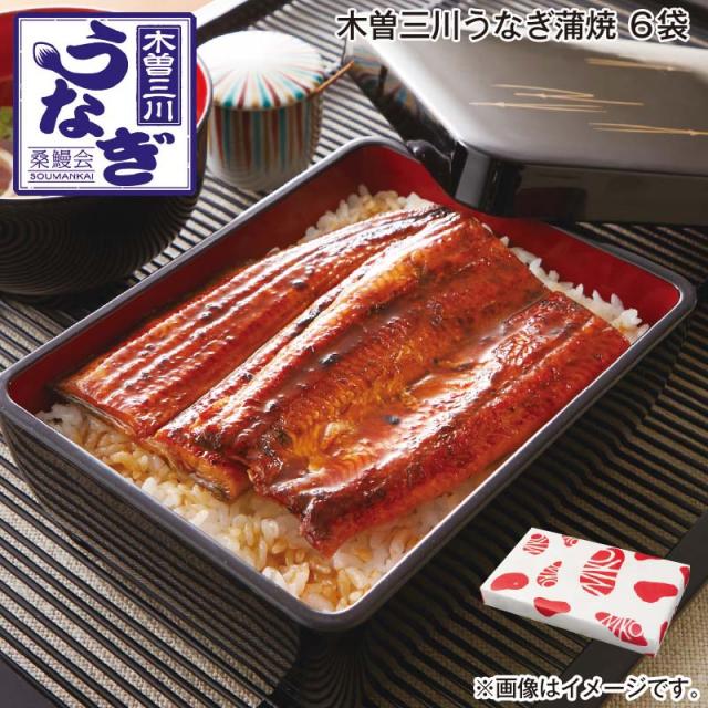 お中元 木曽三川うなぎ蒲焼 ６袋 御中元 夏ギフト ギフト 贈答 プレゼント 送料込み