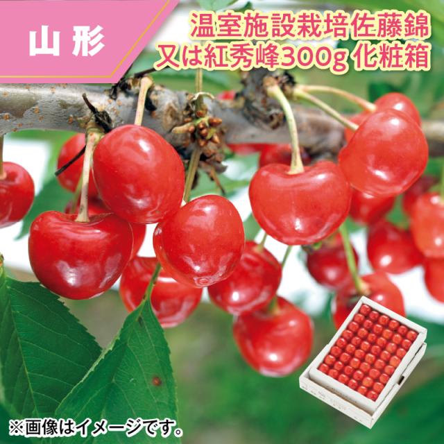 LOUIS VUITTON お財布　コインケース ロゴ Louis Vuitton(ルイヴィトン) コインケース・小銭入れ
