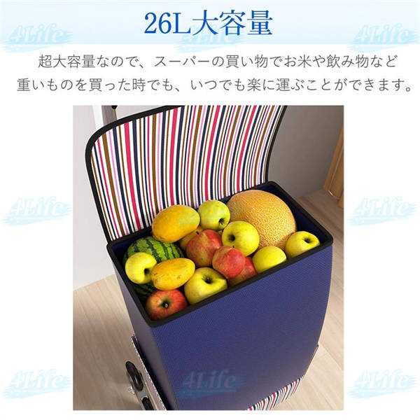 ショッピングカート 買い物カート 階段も引いて上がれる 6輪 特殊