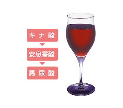 キッコーマン クランベリーURゼリー 75g×24個 ホリカ クランベリーURシリーズ_2