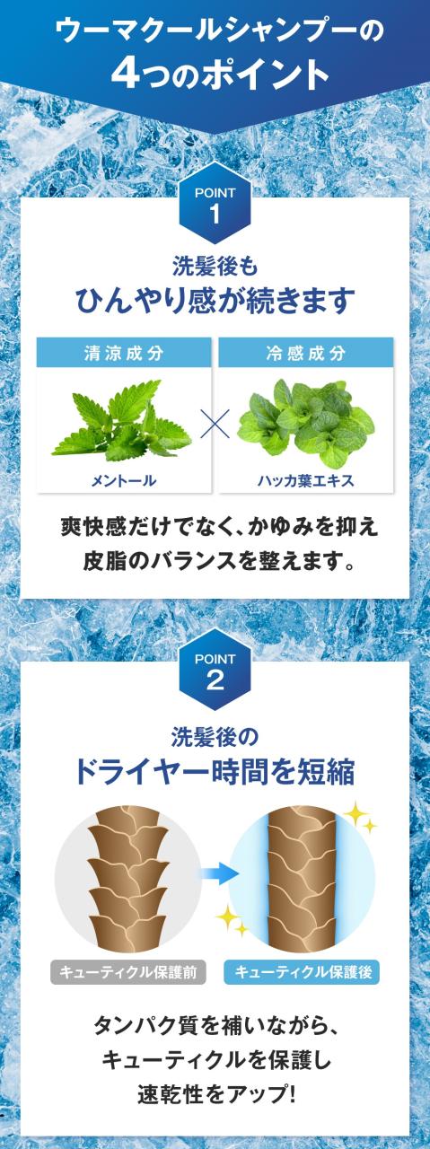 ウーマ クールシャンプー 250ml 6本】u-ma 男性用 メンズ 馬油