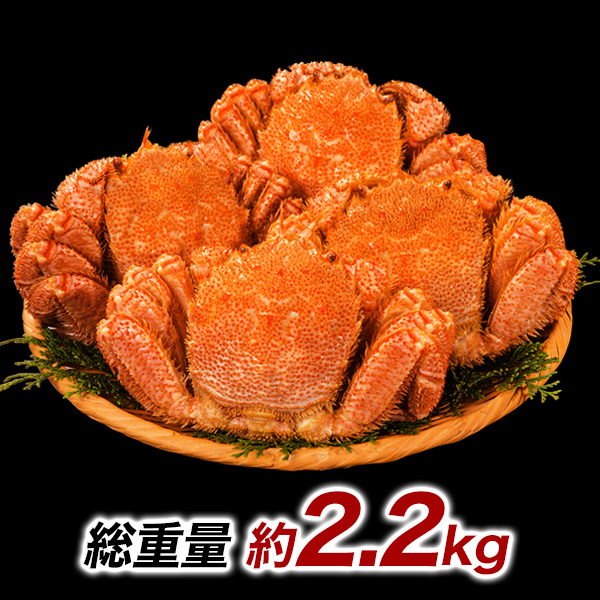 アルスイタリカ　イタリア産キャビア　ダヴィンチ(アドリアチョウザメ)　ソフトパスチュライズ　50g　7205 代引き不可 アルスイタリカ イタリア産キャビア ダヴィンチ(アドリアチョウザメ