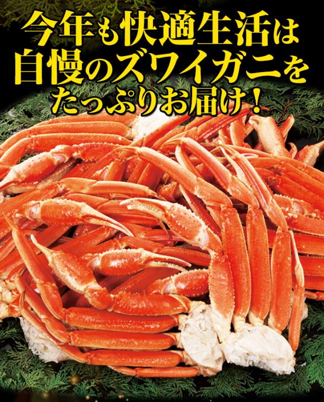 かに カニ 蟹 快適生活 ずわいがに 特特大特選ボイルズワイガニ肩付き脚 総重量:約1.8kg(正味1.5kg) カニ鍋 かにしゃぶ_2
